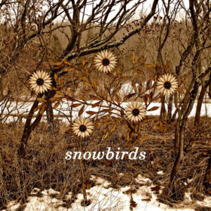 The Snowbirds – The Snowbirds
