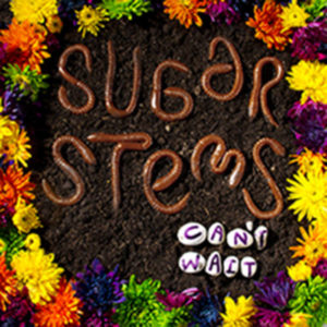 Sugar Stems – Can’t Wait