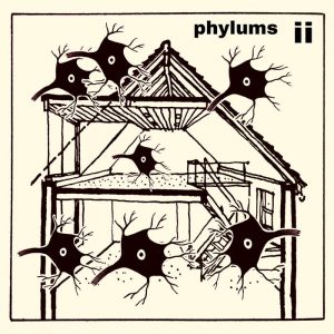 Phylums – ii
