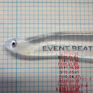 Holy Fuck – Event Beat